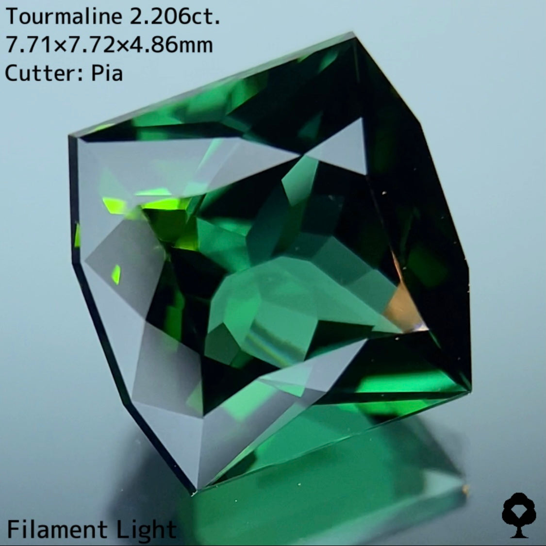 貫禄あるユニークなカタチのオクタゴンに仕上げられた正統派グリーン★トルマリン 2.206ct