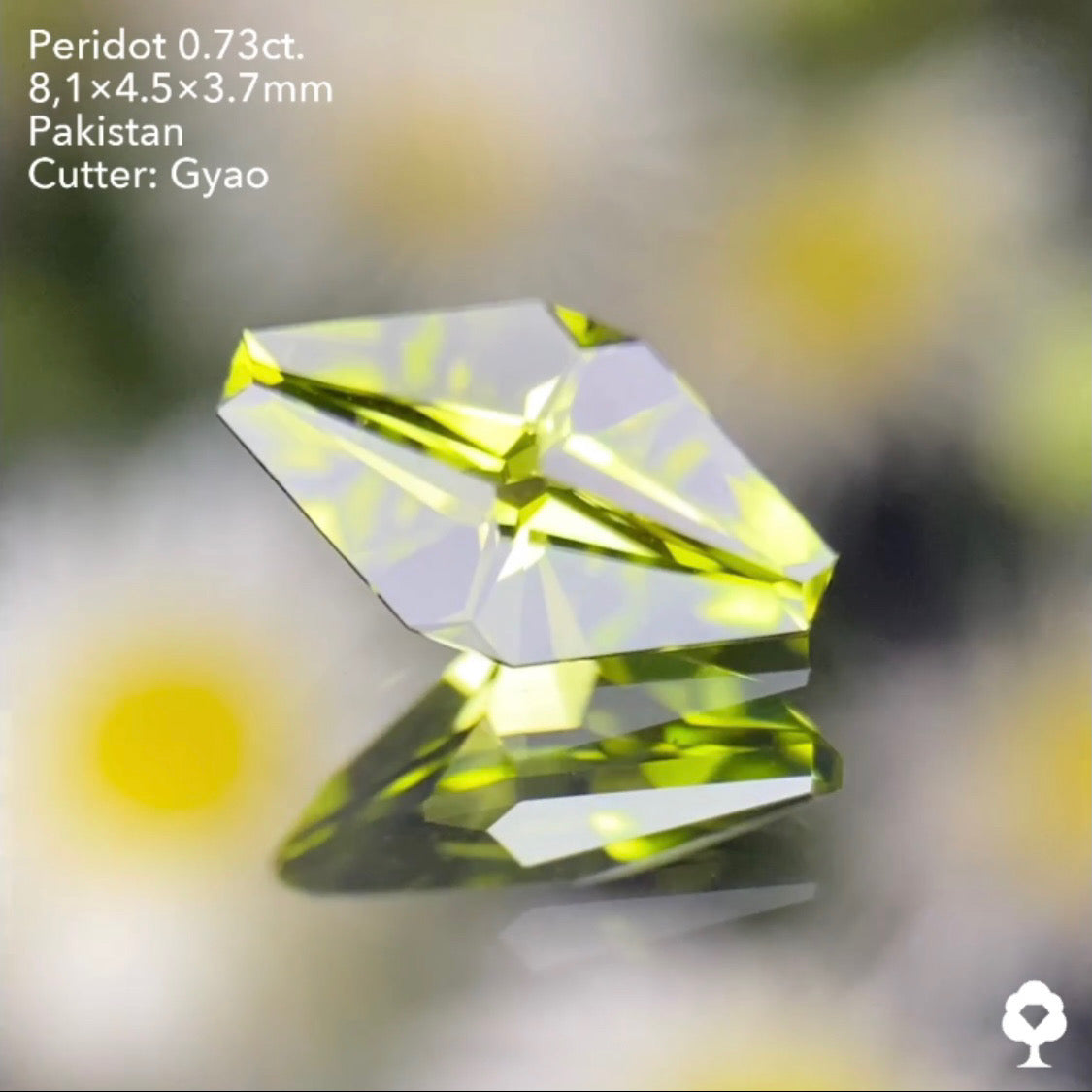 点対象の独創的すぎるゲオちゃんファンシーカイトペリドット0.73ct パキスタン産 ゲオちゃん作品
