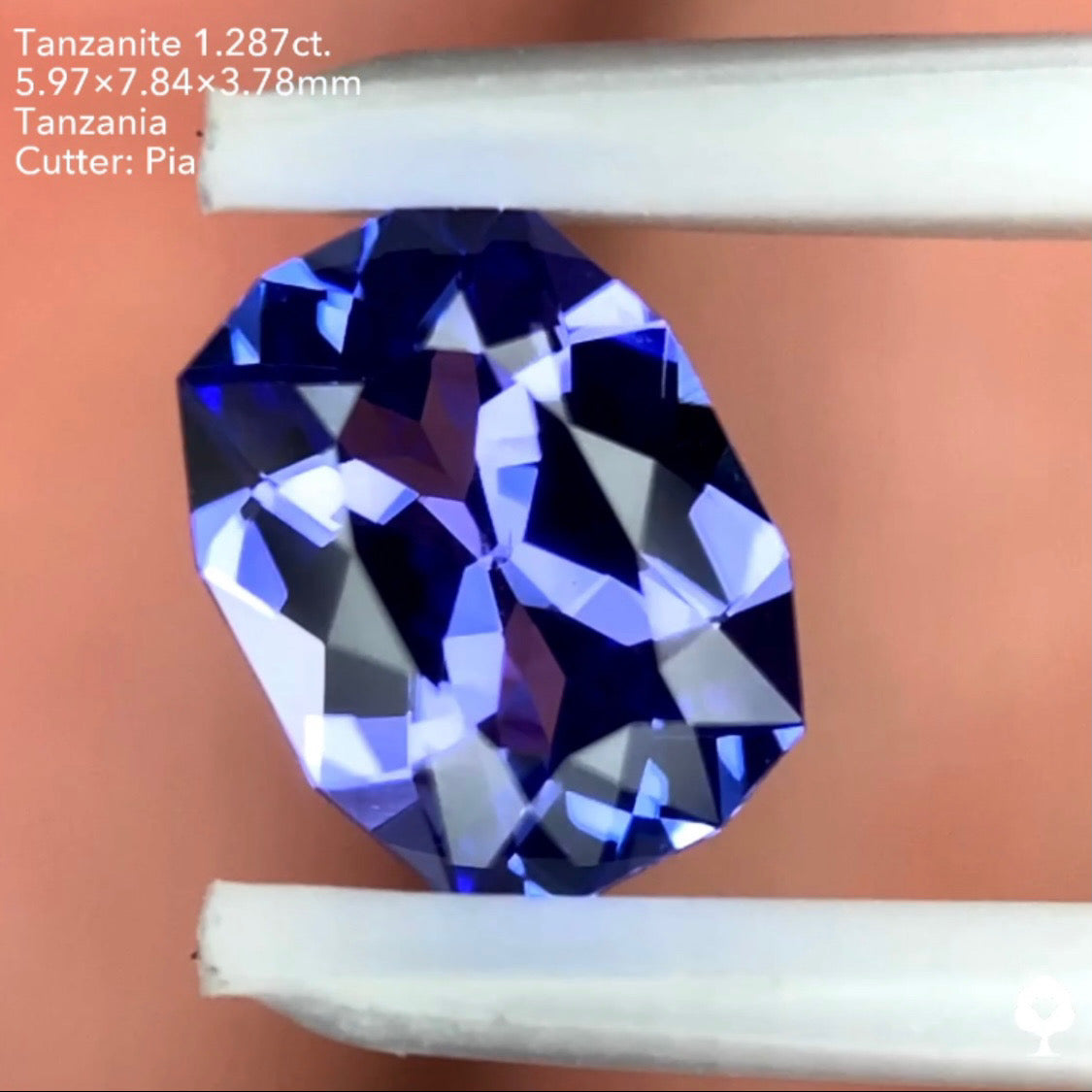 タンザナイト1.287ct. ファンシークッション ピアッちゃん作品
