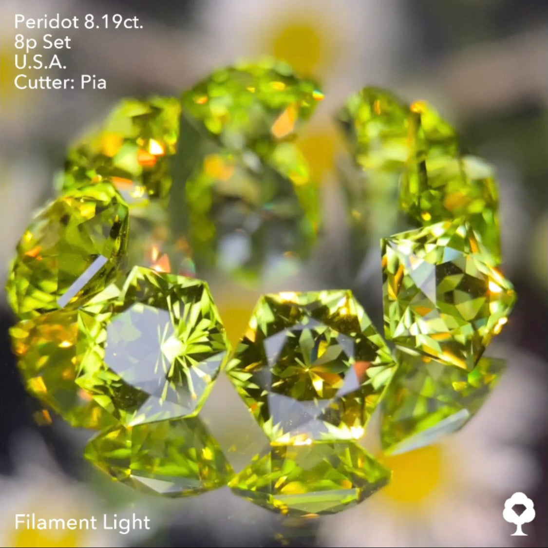 大きさ・クラリティ・輝き抜群の多角形セットはペリ好きの決定版★ペリドット8個多角形セット 計8.19ct. アメリカ産 ピアッちゃん作品