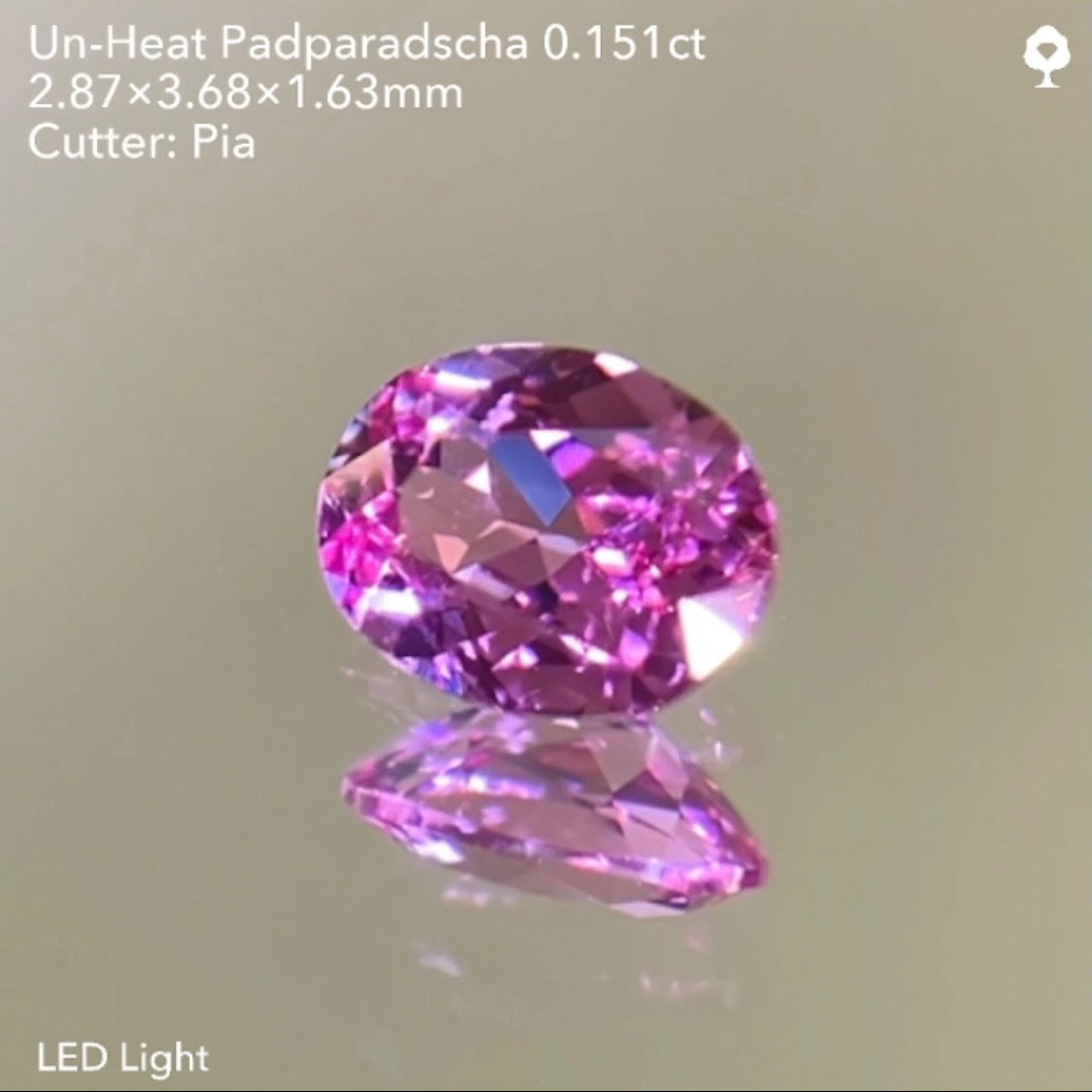 【SOLD OUT】非加熱パパラチァサファイア0.151ct/ピアッちゃん作品 ★11/11ハラキリ1円オークションライブ★クーポンはごめんなさい🙇♂️