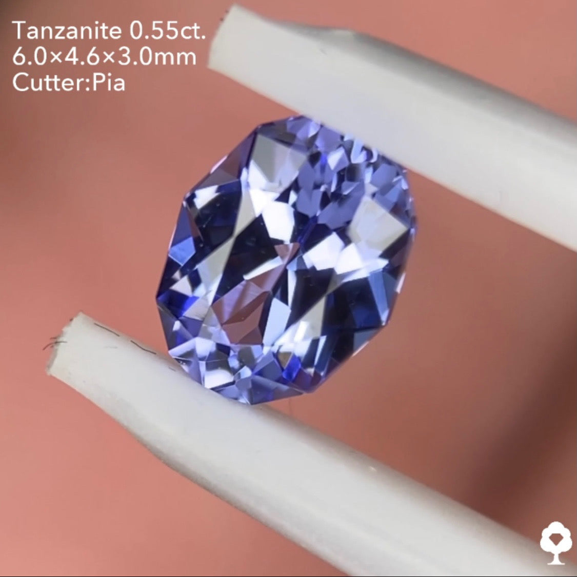 【カニカマさんご当選】タンザナイト0.55ct ピアッちゃん作品