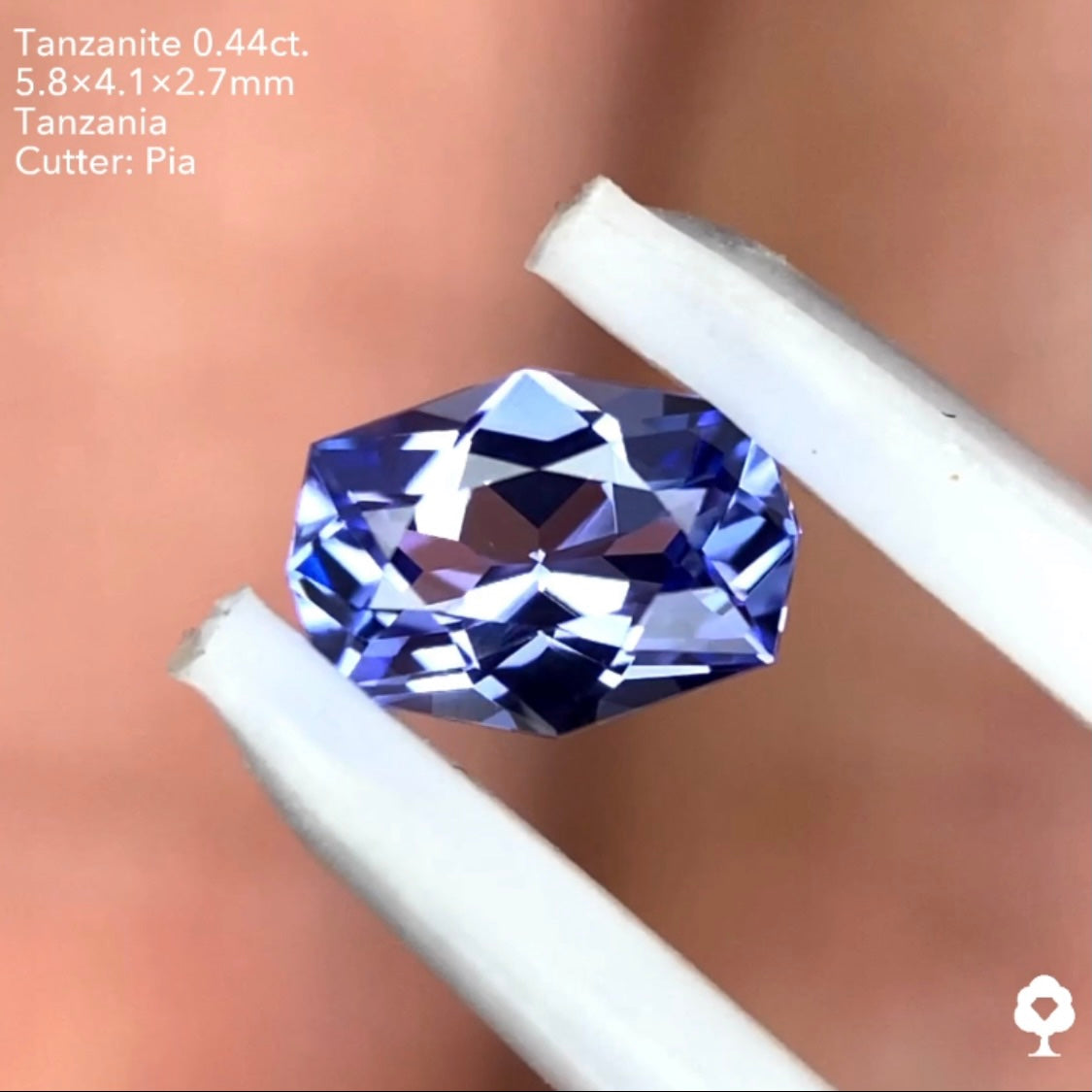 【本日21:30終了‼️】タンザナイト 0.44ct. ファンシークッション ピアッちゃん作品