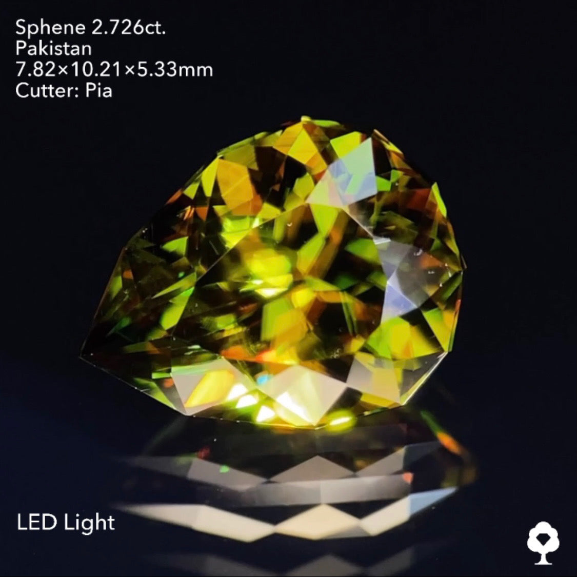 貫禄ある可愛らしいカタチで深いグリーンから強烈なファイアーを放つ★パキスタンスフェーン2.726ct ピアッちゃん作品