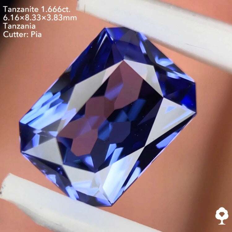 タンザナイト1.666ct. オクタゴン ピアッちゃん作品