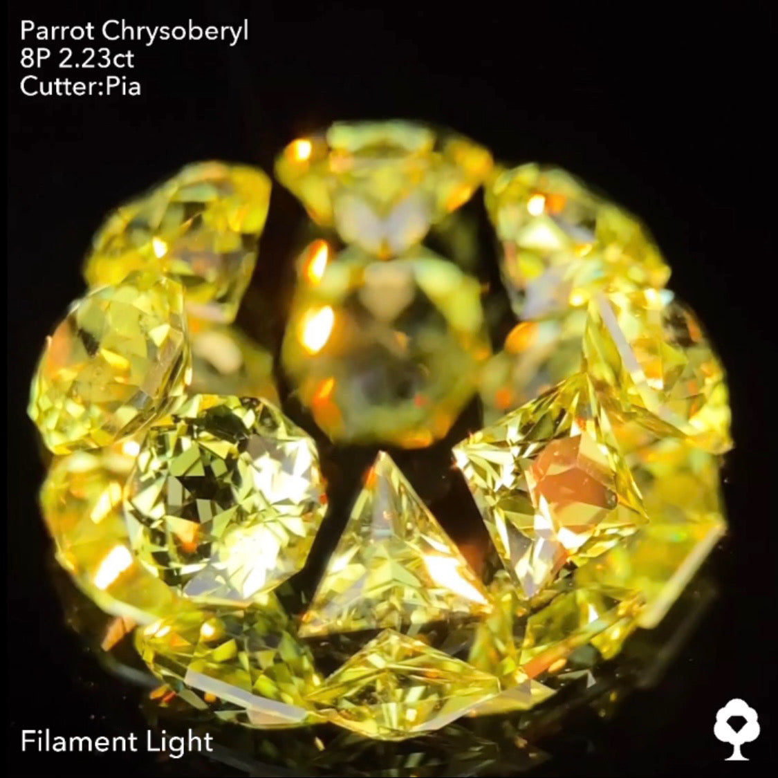 【9/1(木)終了‼️1ヶ月オークション】パロットクリソベリル2.23ct. ピアッちゃん作品