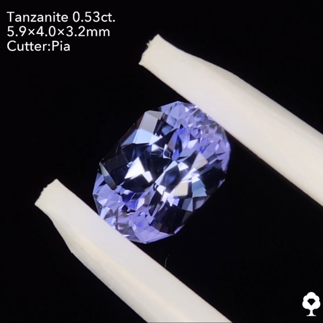 【ErhuAchuさんご当選】タンザナイト0.53ct ピアッちゃん作品