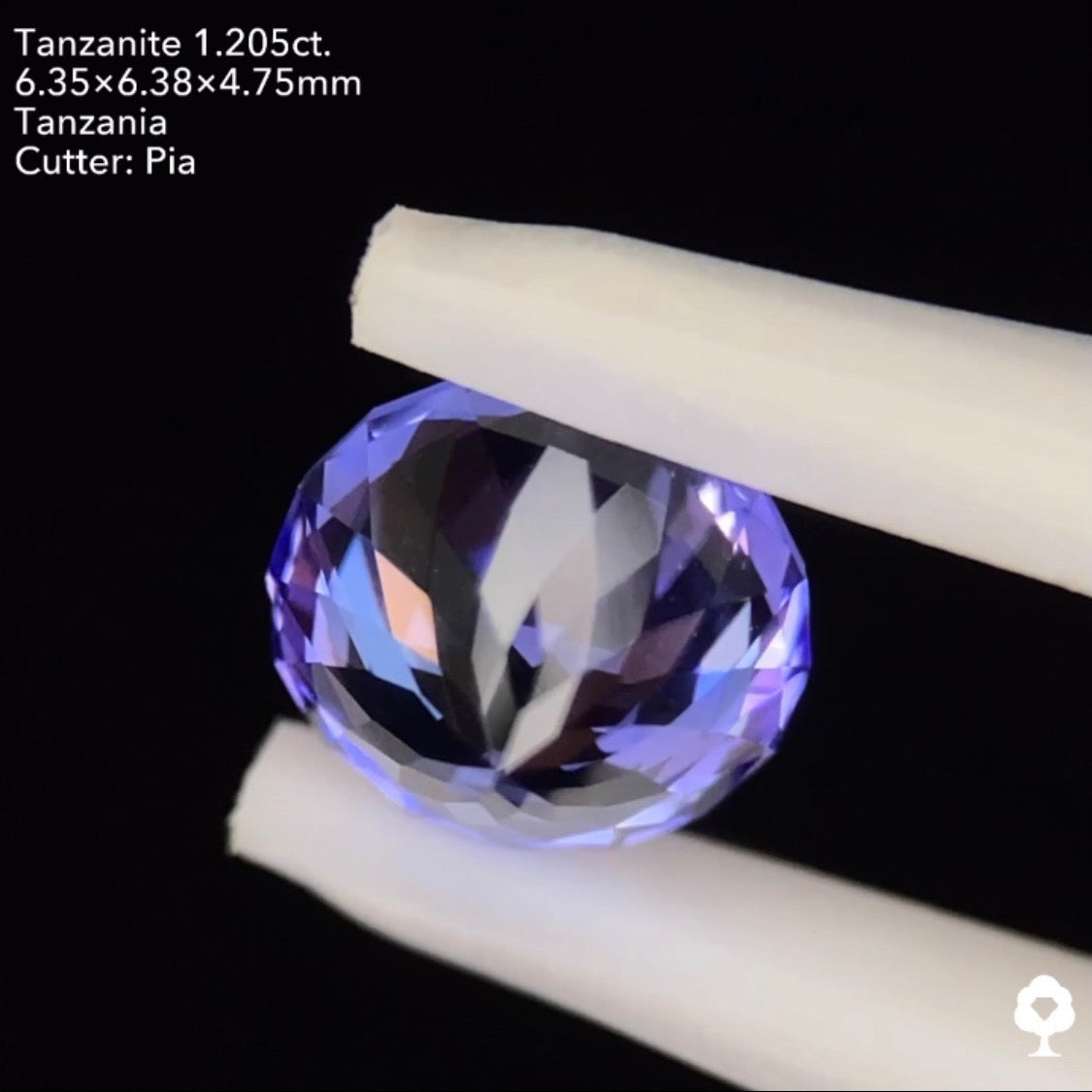 タンザナイト1.205ct. ファンシーラウンド ピアッちゃん作品
