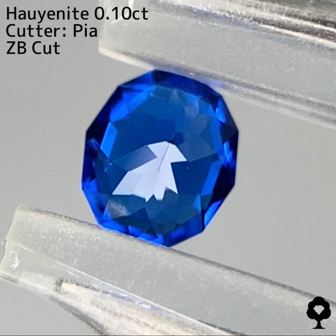 【ZBカット】アウィンナイト0.100ct. ファンシーオーバル★ピアッちゃん作品