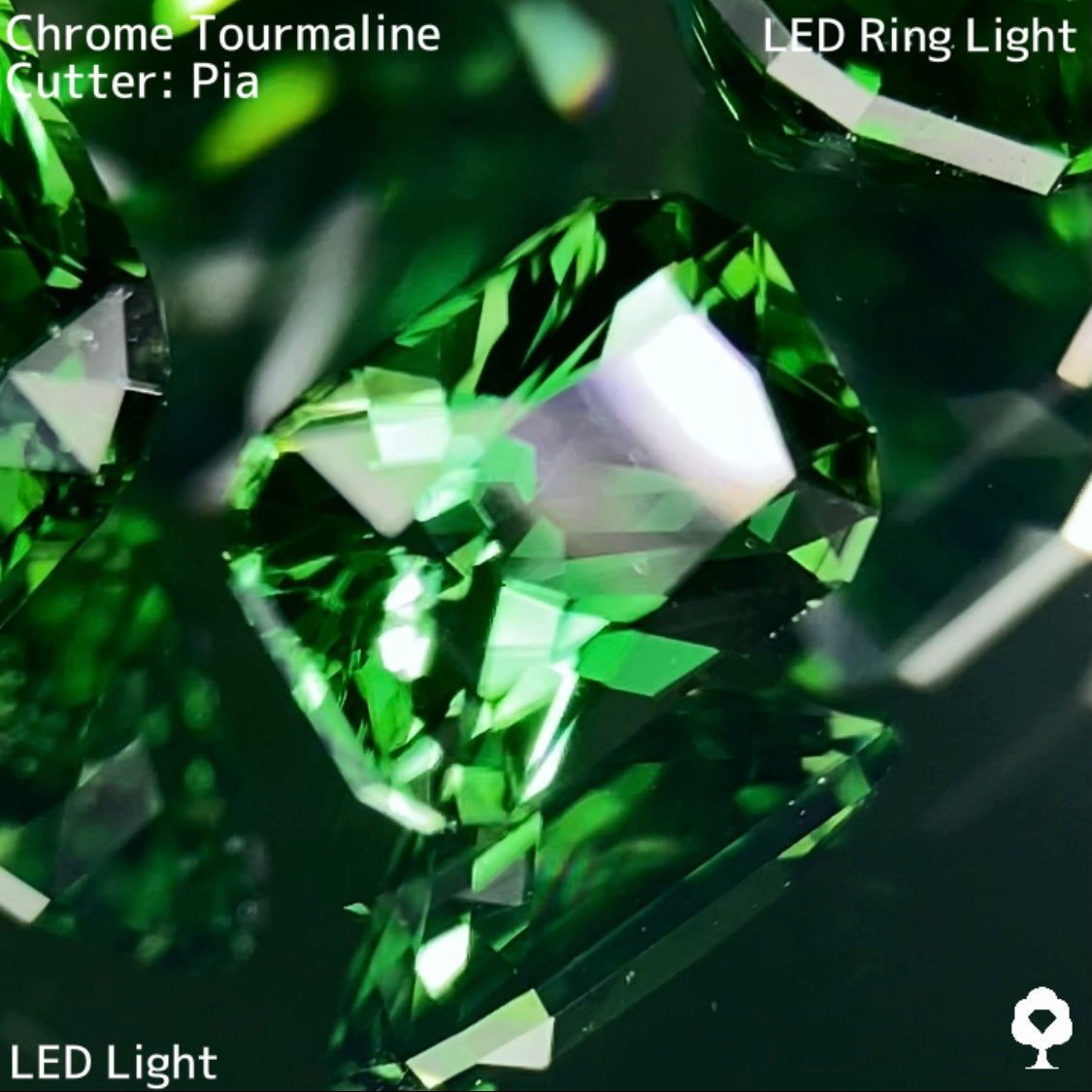 【高級プチプラ】クロムトルマリン 0.379ct