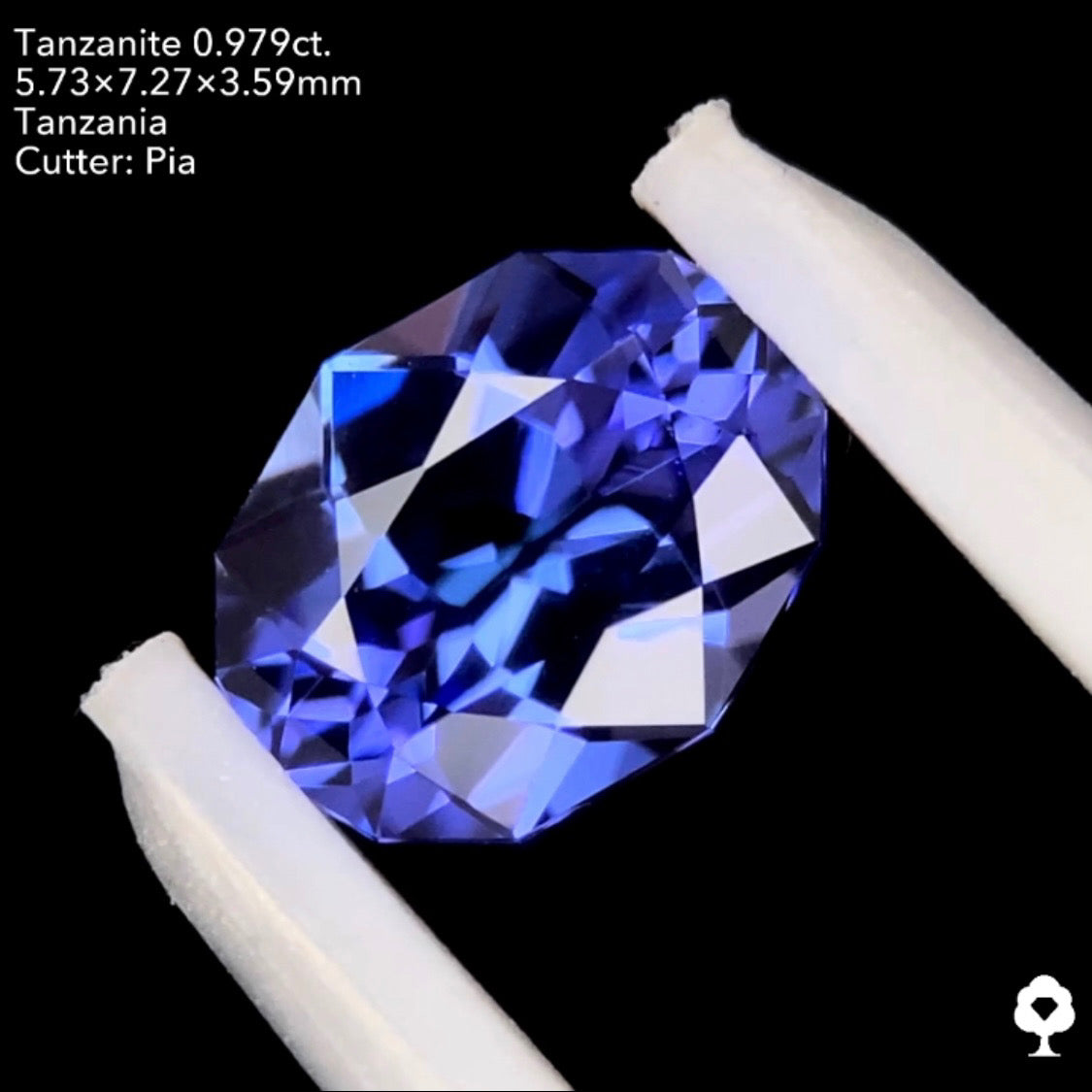 タンザナイト0.979ct. ファンシーオーバル ピアッちゃん作品