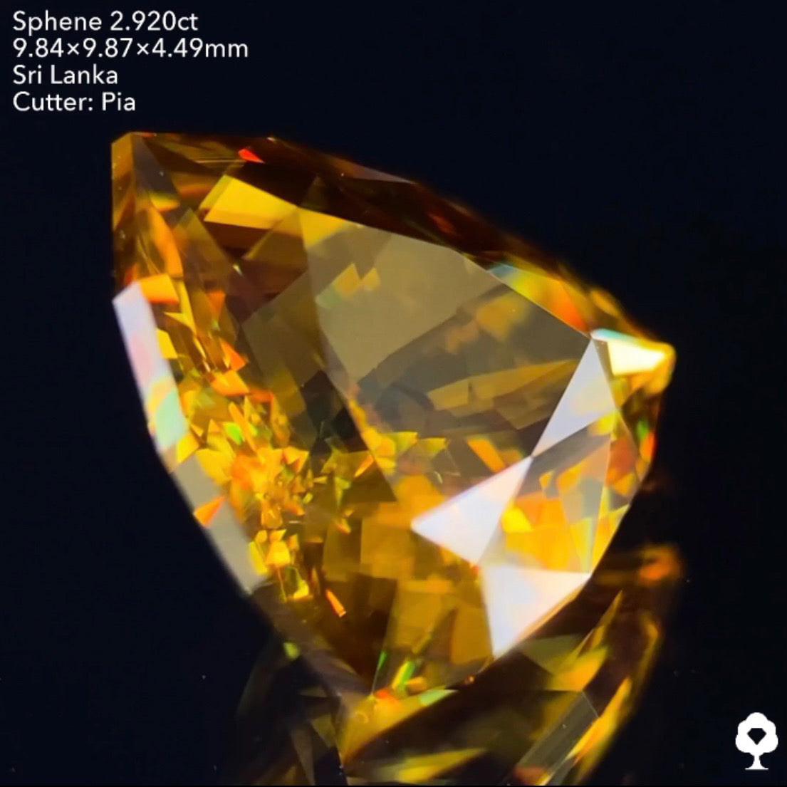 抜群のプロポーションのファンシートリリアント🌈スリランカ産スフェーン2.920ct✨ピアッちゃん作品💎