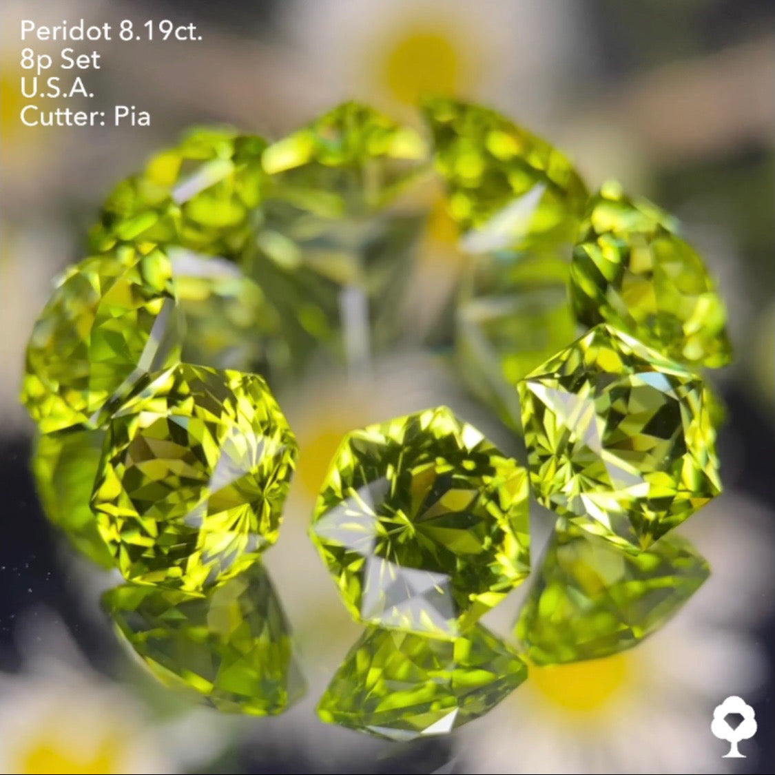 大きさ・クラリティ・輝き抜群の多角形セットはペリ好きの決定版★ペリドット8個多角形セット 計8.19ct. アメリカ産 ピアッちゃん作品