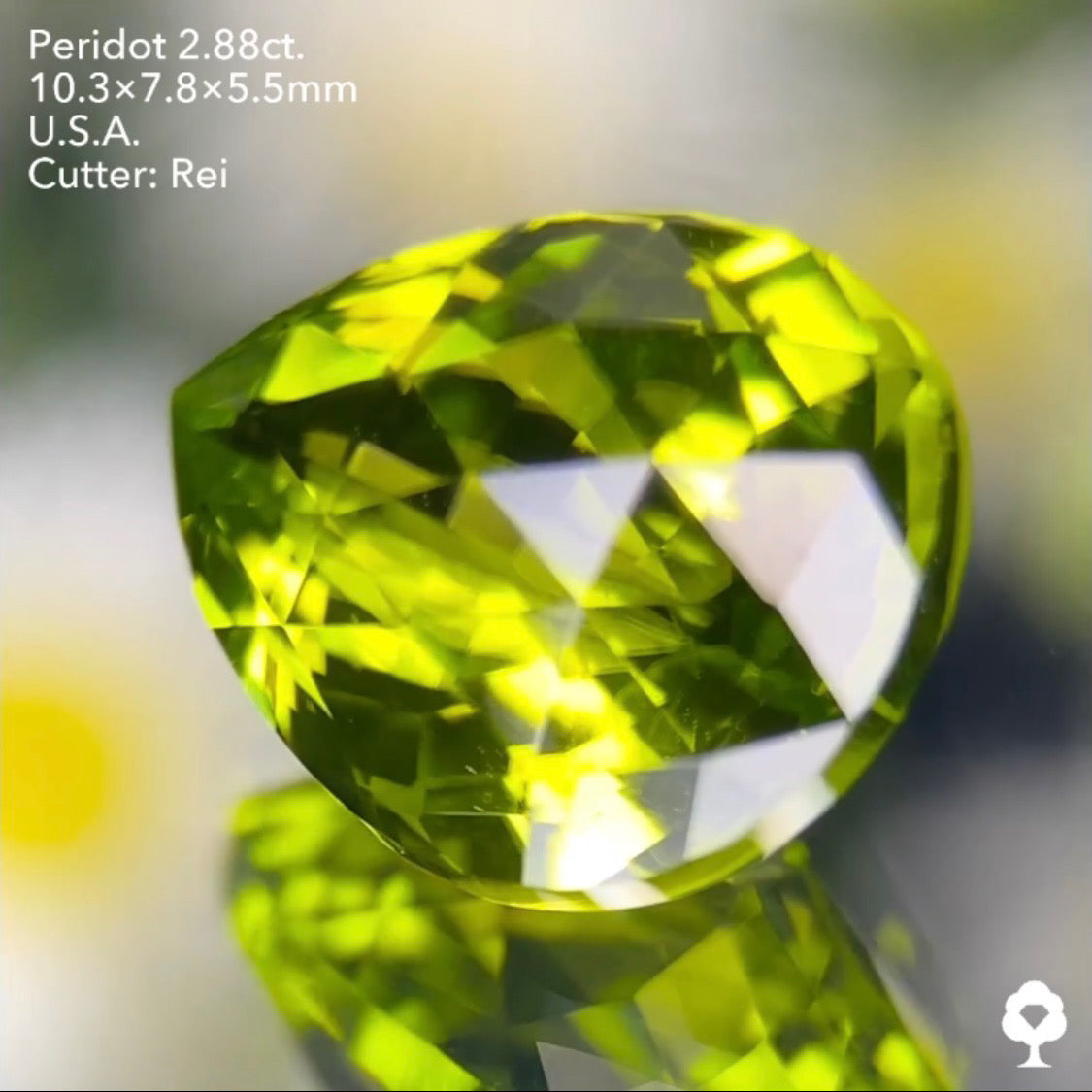 3角ファセット煌めく美色クラウンローズペアシェイプ★ペリドット2.88ct. アメリカ産 レイちゃん作品
