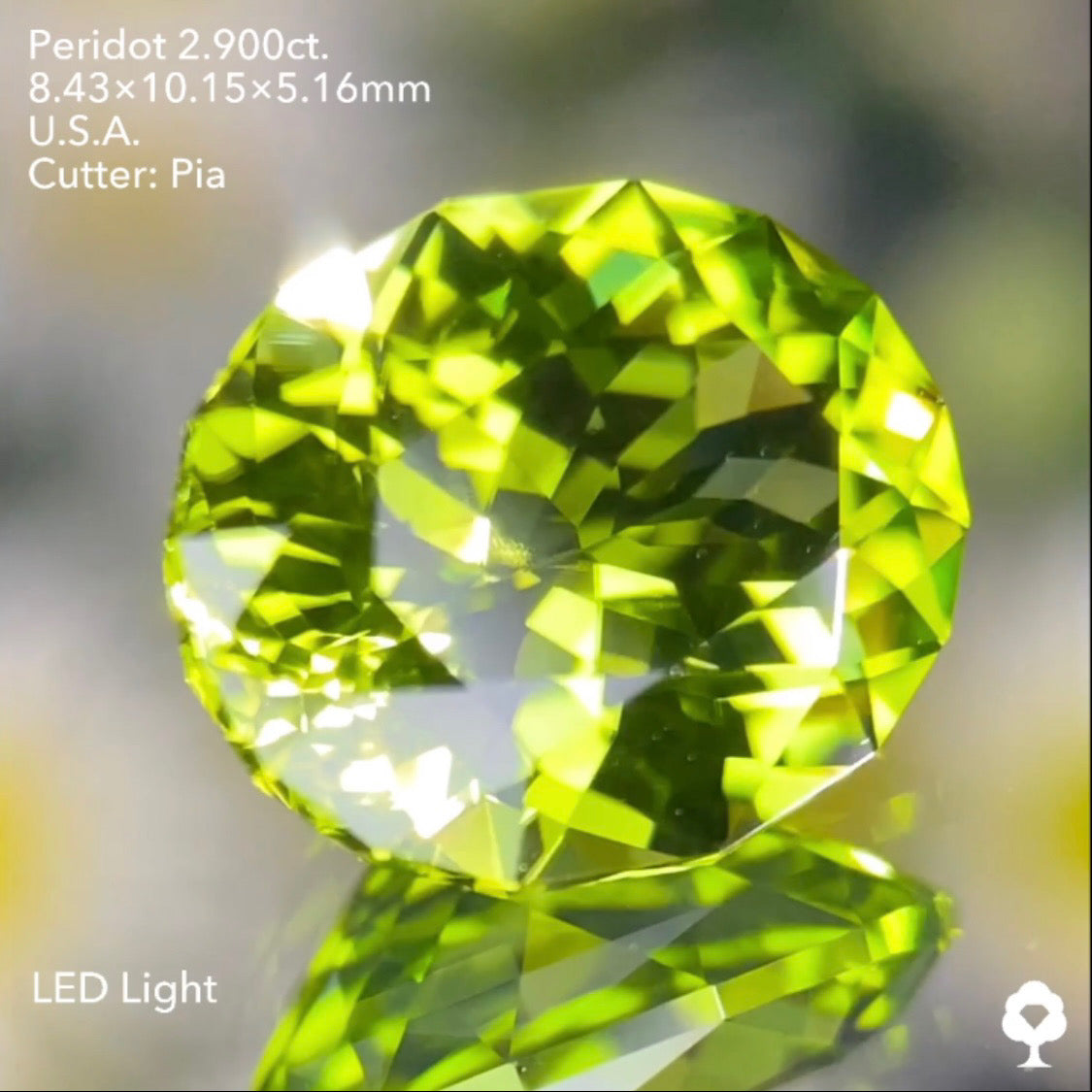 さりげなく浮かぶリリーパッドが可愛い青みある美グリーンの美結晶★ペリドット2.900ct. アメリカ産 ピアッちゃん作品