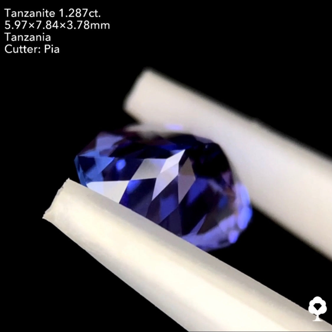 タンザナイト1.287ct. ファンシークッション ピアッちゃん作品