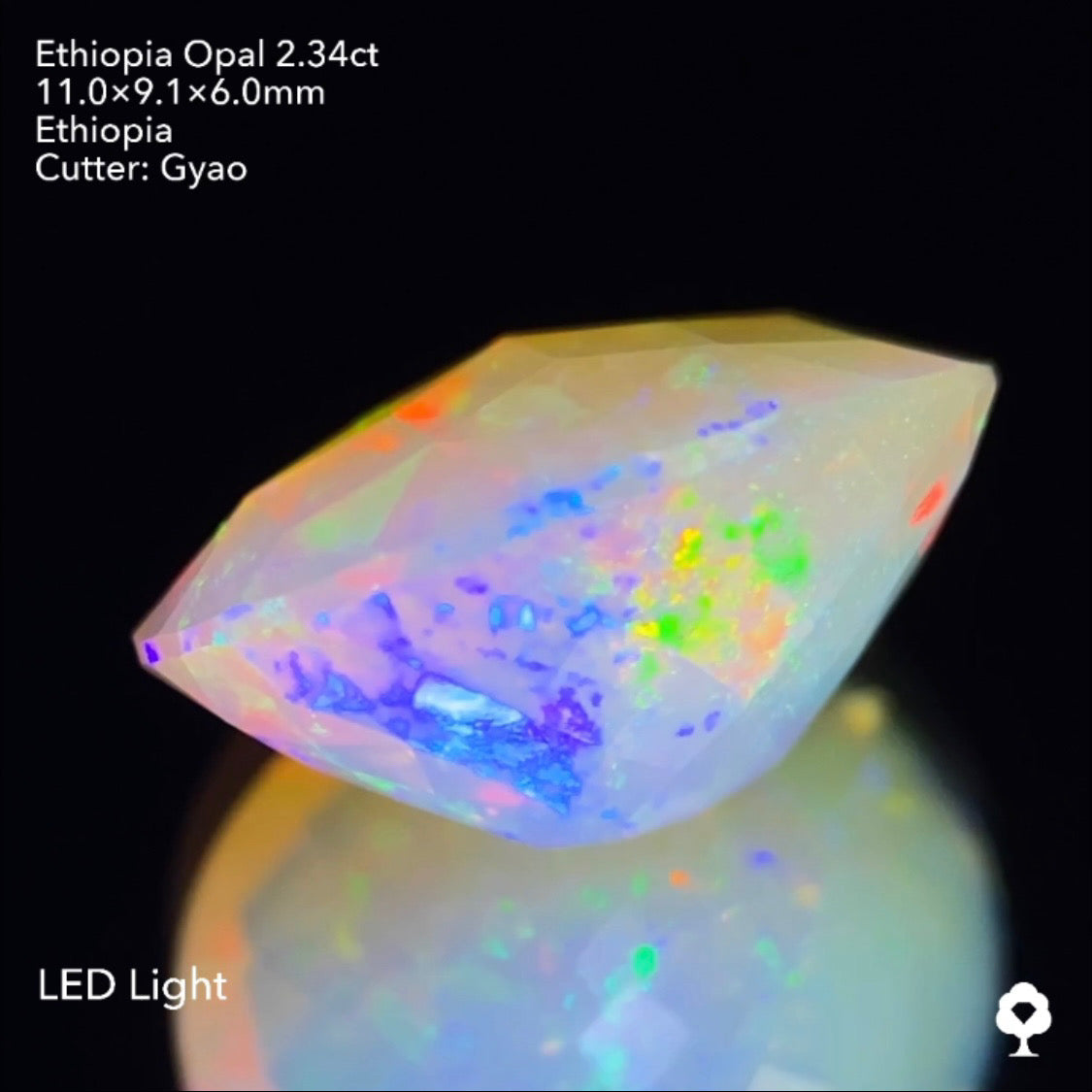 ゲオ先生の独自カット作品「キューブスターカット・オーバルversion」エチオピアオパール2.34ct ✨