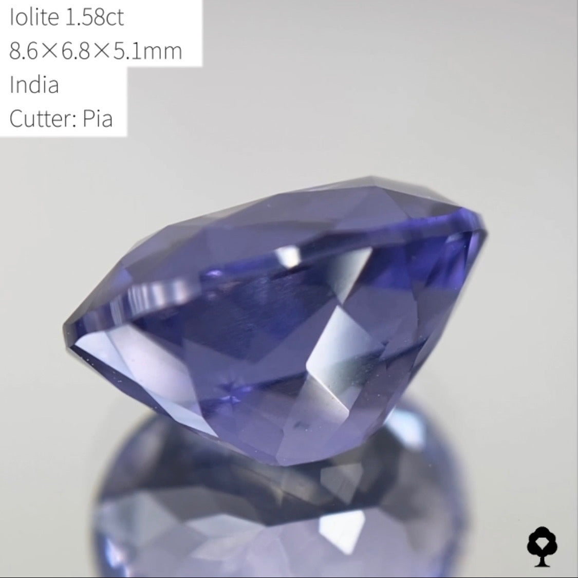 【SOLD OUT】★ゲームオーバーのたびに安くなる逆オークション★アイオライト1.58ct ピアッちゃん作品 4/3サイレンGAME配信