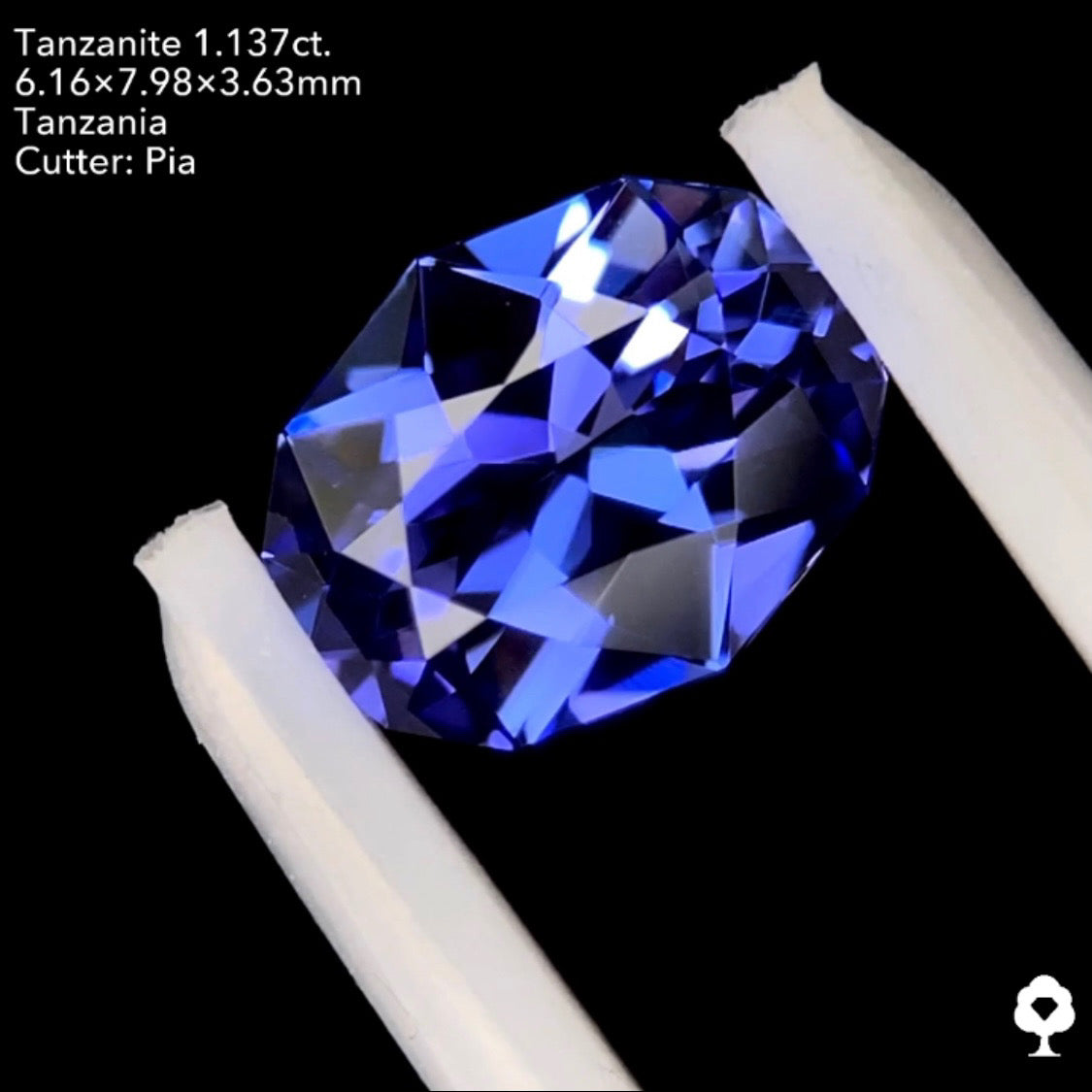 タンザナイト1.137ct. ファンシーオーバル ピアッちゃん作品