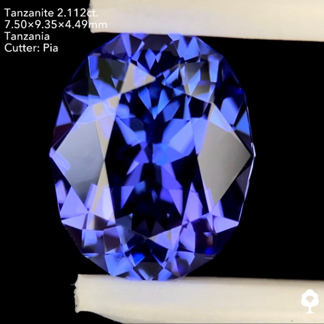 タンザナイト2.112ct. ファンシーオーバル ピアッちゃん作品