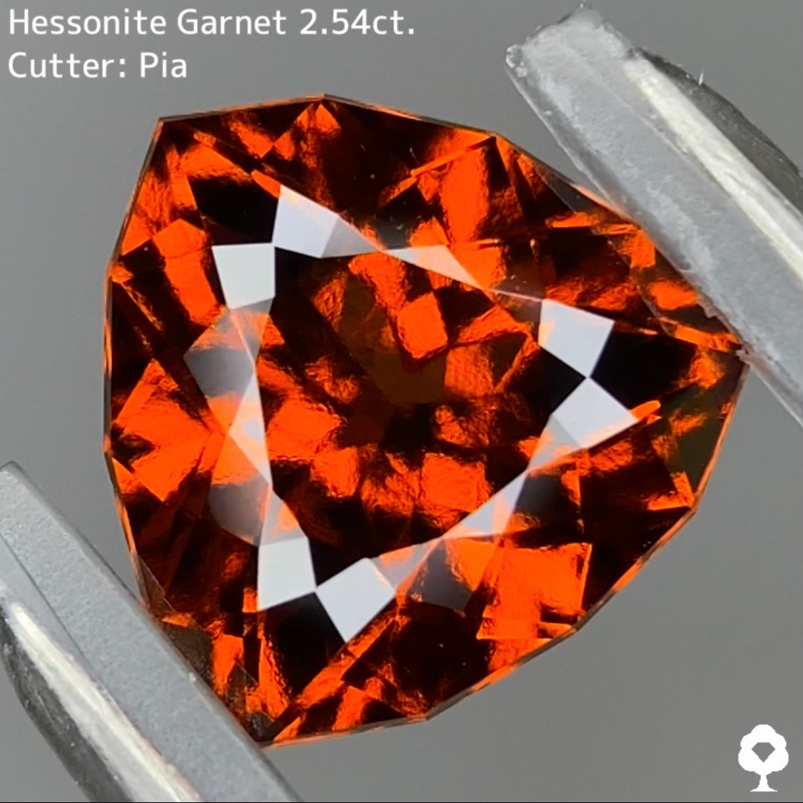 Hessonite Garnet ヘソナイト ルース 未使用品 かれ No.46463