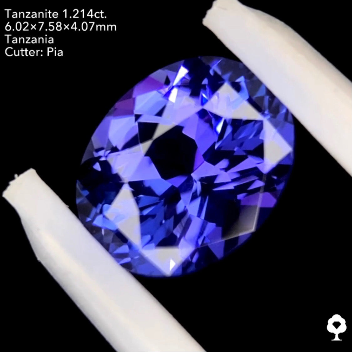 タンザナイト1.214ct. オーバル ピアッちゃん作品