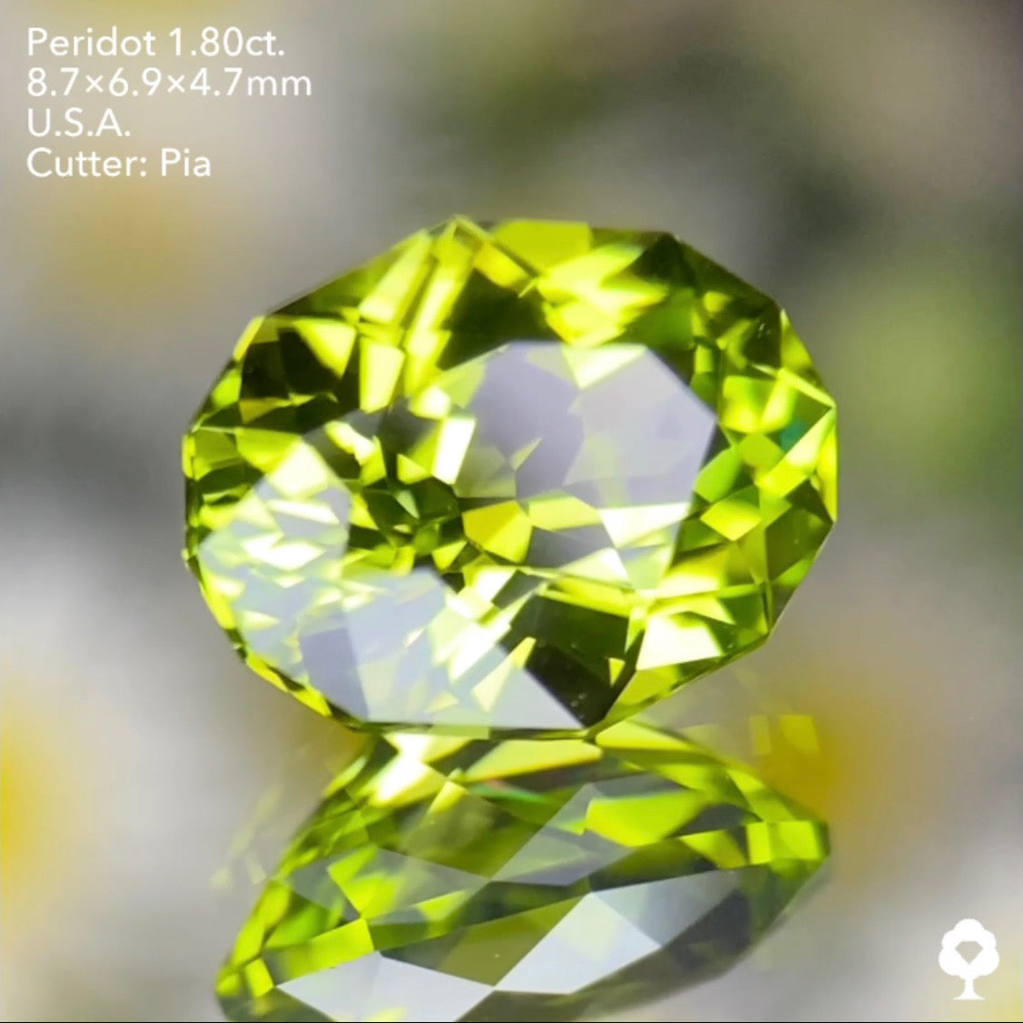 【お客さま専用・誕生石プレゼント】ペリドット1.80ct ピアッちゃん作品