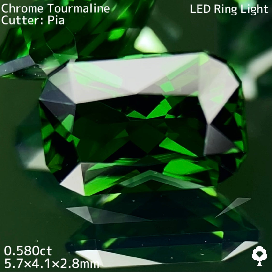 水スタ / ZB 3枚迄使用可【5/17 19時 - 5/21 21時】クロムトルマリン 0.580ct