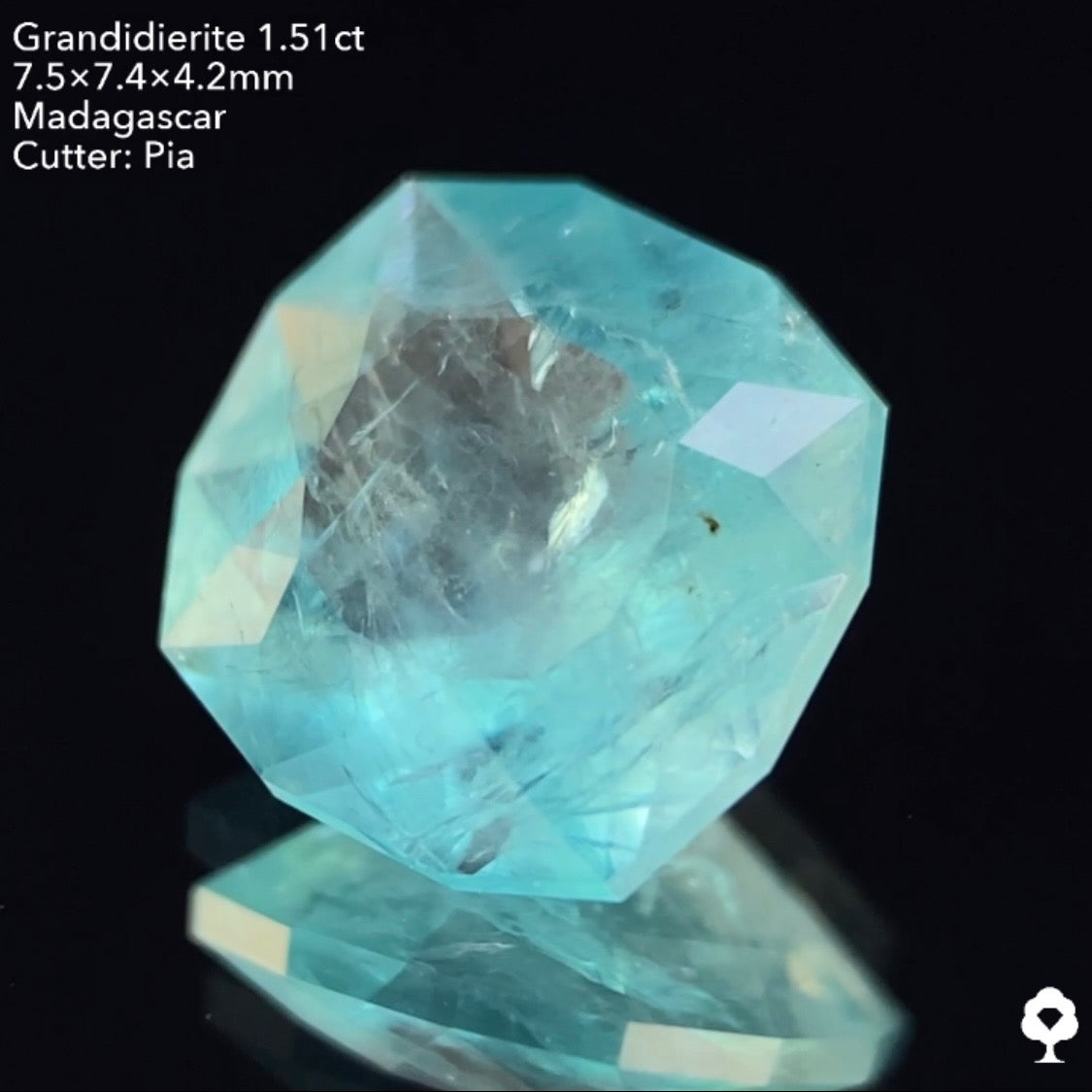 【仕切り直し‼️個展特別オークション】グランディディエライト1.51ct