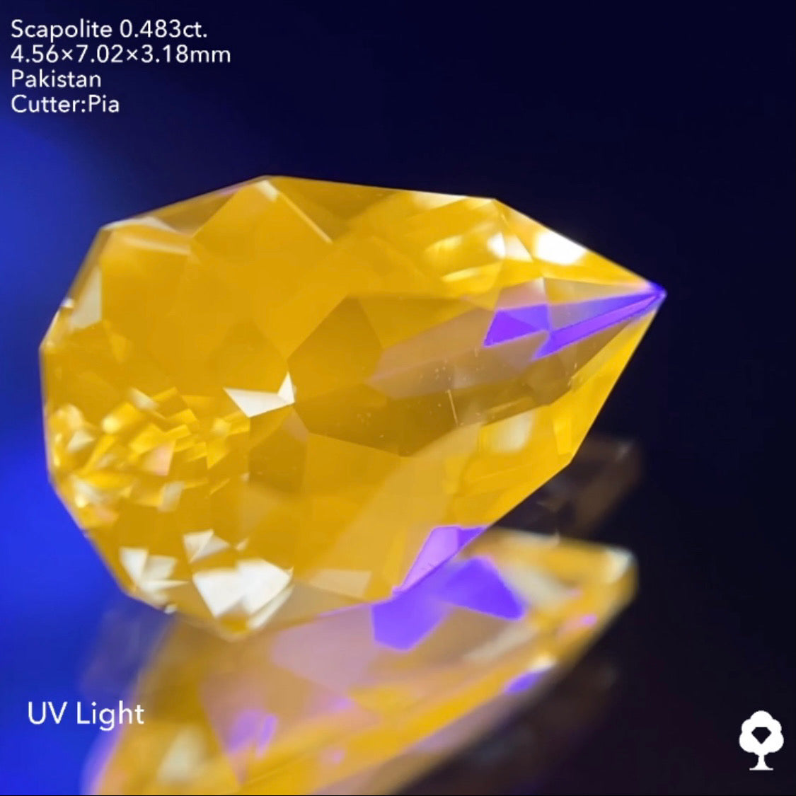 ファンシーペアシェイプの鋭い煌めきはUV蛍光でも美しい★スキャポライト0.483ct ピアッちゃん作品