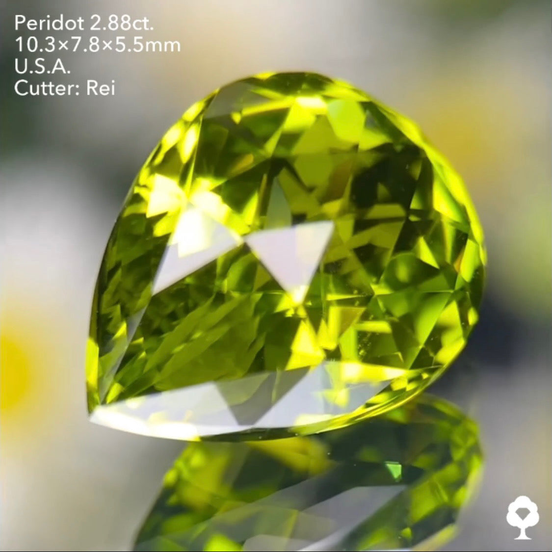 3角ファセット煌めく美色クラウンローズペアシェイプ★ペリドット2.88ct. アメリカ産 レイちゃん作品