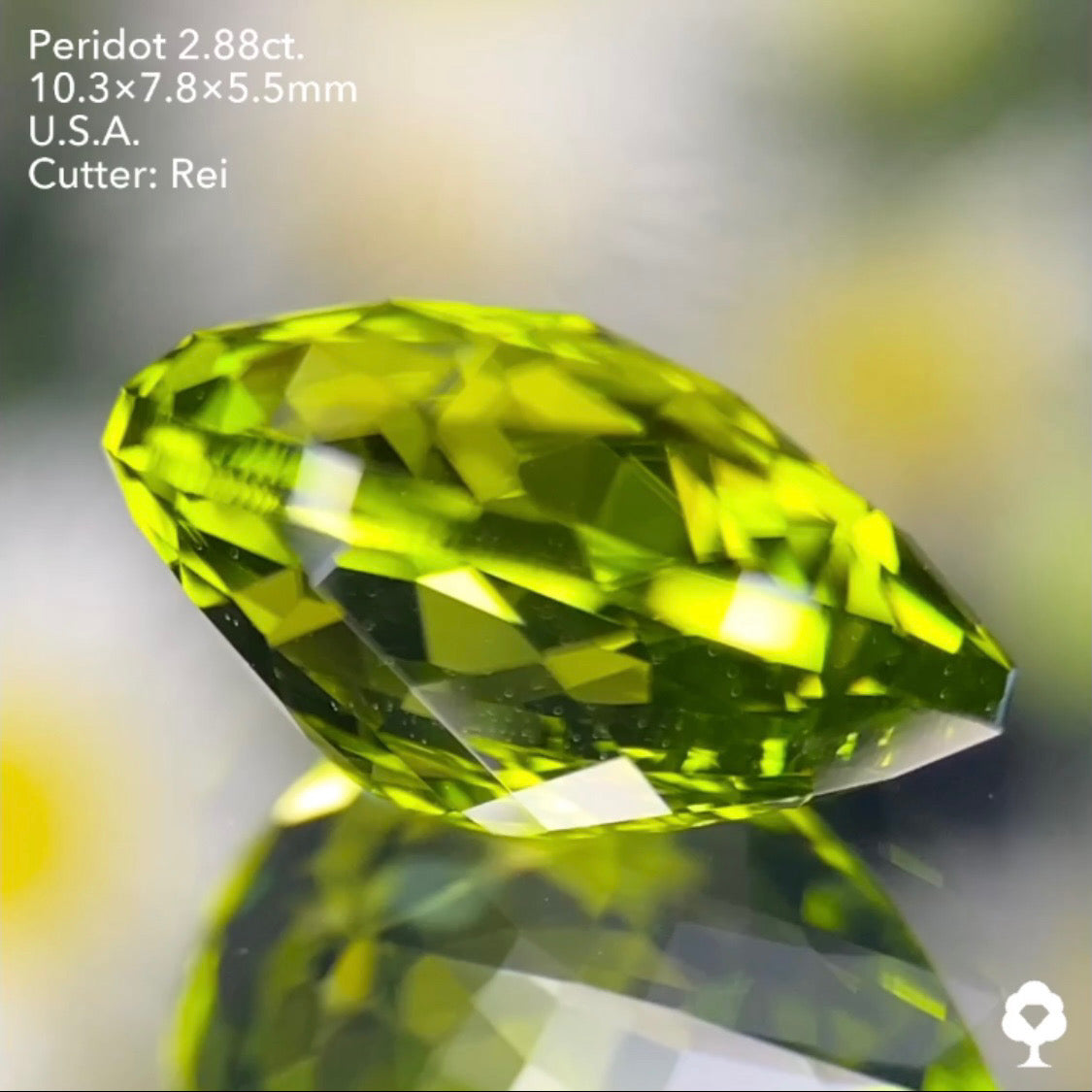 3角ファセット煌めく美色クラウンローズペアシェイプ★ペリドット2.88ct. アメリカ産 レイちゃん作品