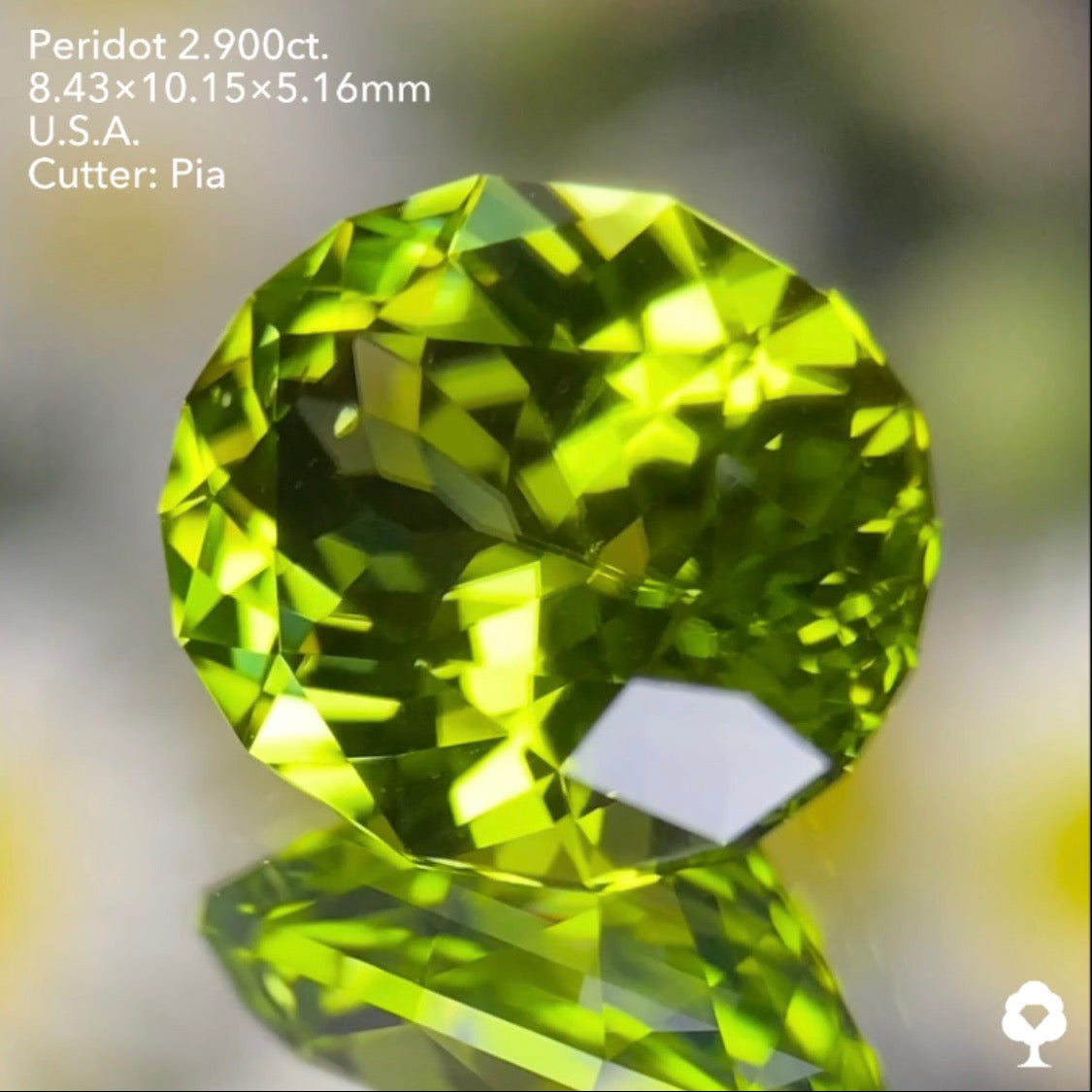 さりげなく浮かぶリリーパッドが可愛い青みある美グリーンの美結晶★ペリドット2.900ct. アメリカ産 ピアッちゃん作品