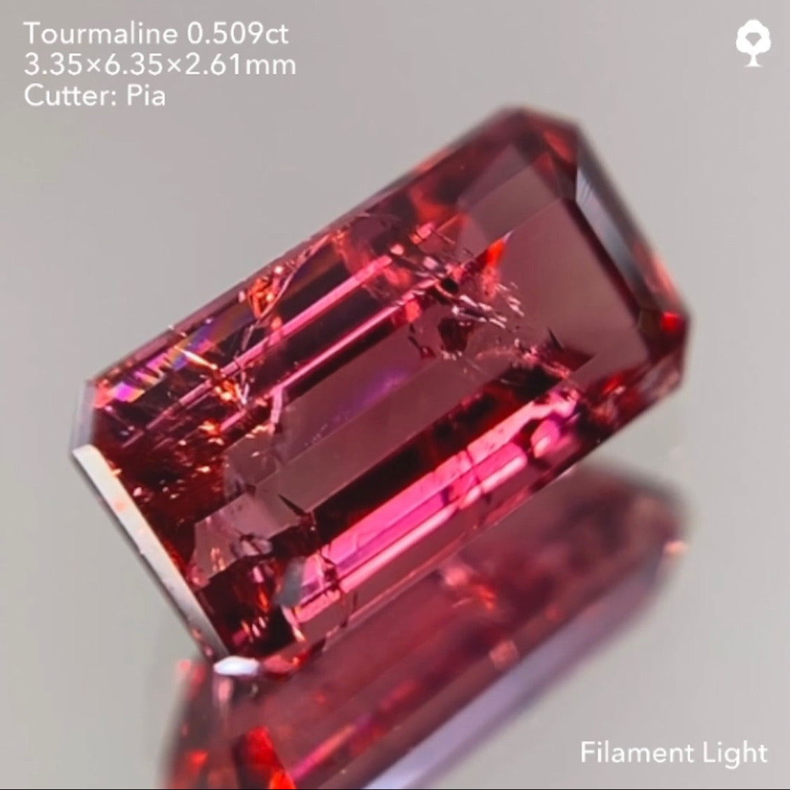 【サイレン配信逆オークション】トルマリン0.509ct ピアッちゃん作品