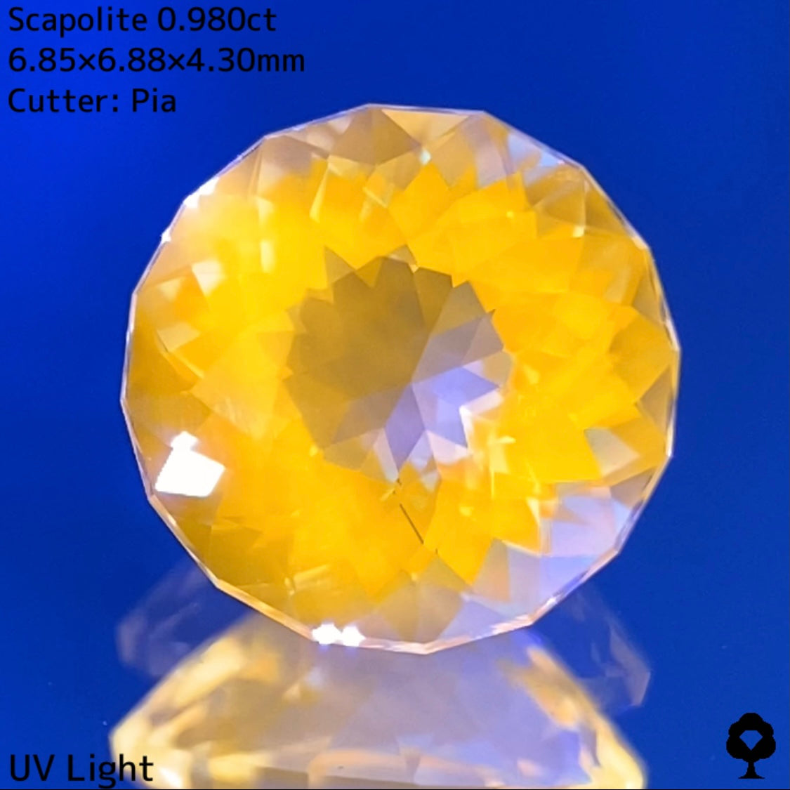 【高級プチプラ】スキャポライト 0.980ct