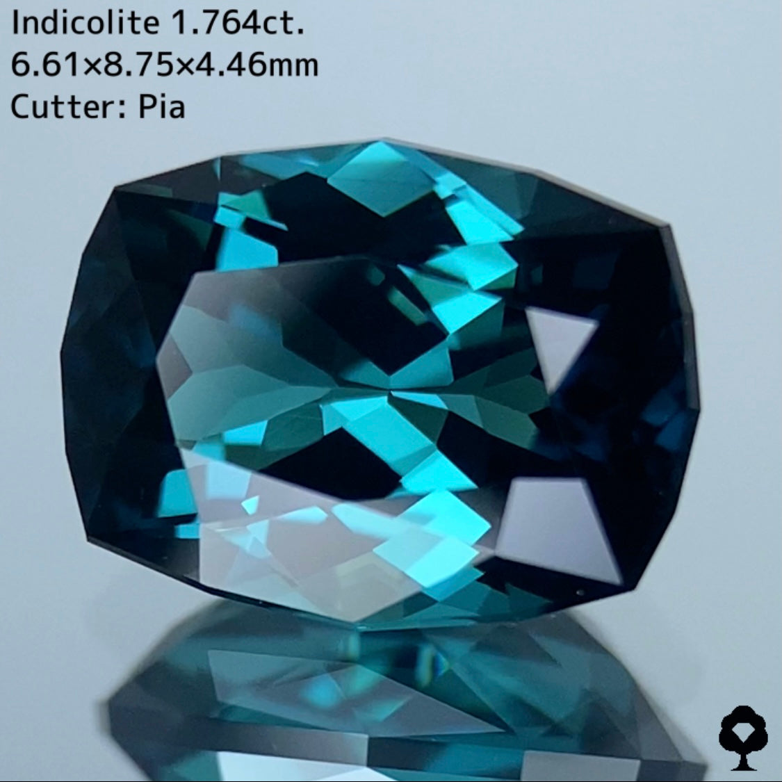 深い色合いから強烈な美色を放つ石質抜群のファンシークッション★インディゴライト 1.764ct