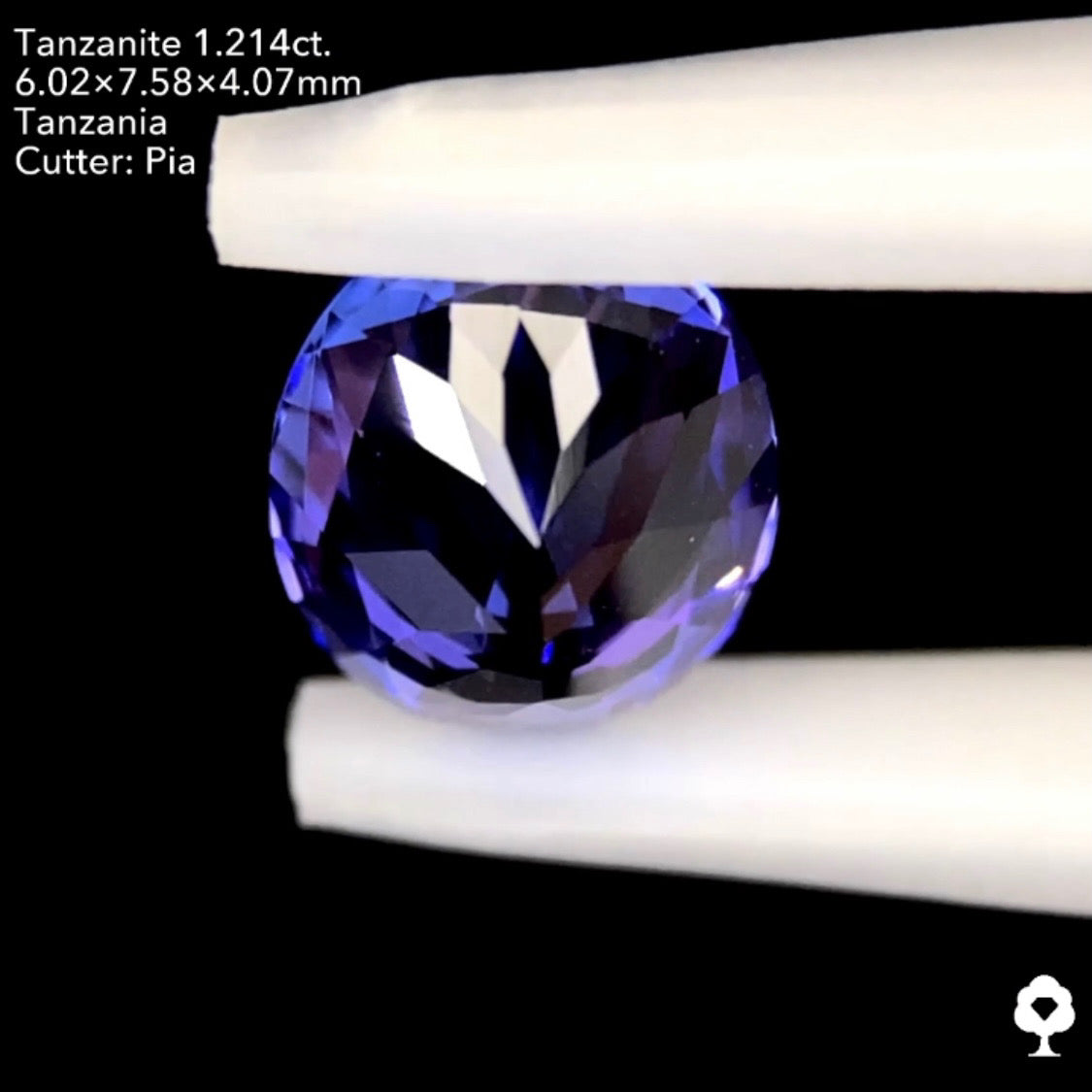 タンザナイト1.214ct. オーバル ピアッちゃん作品