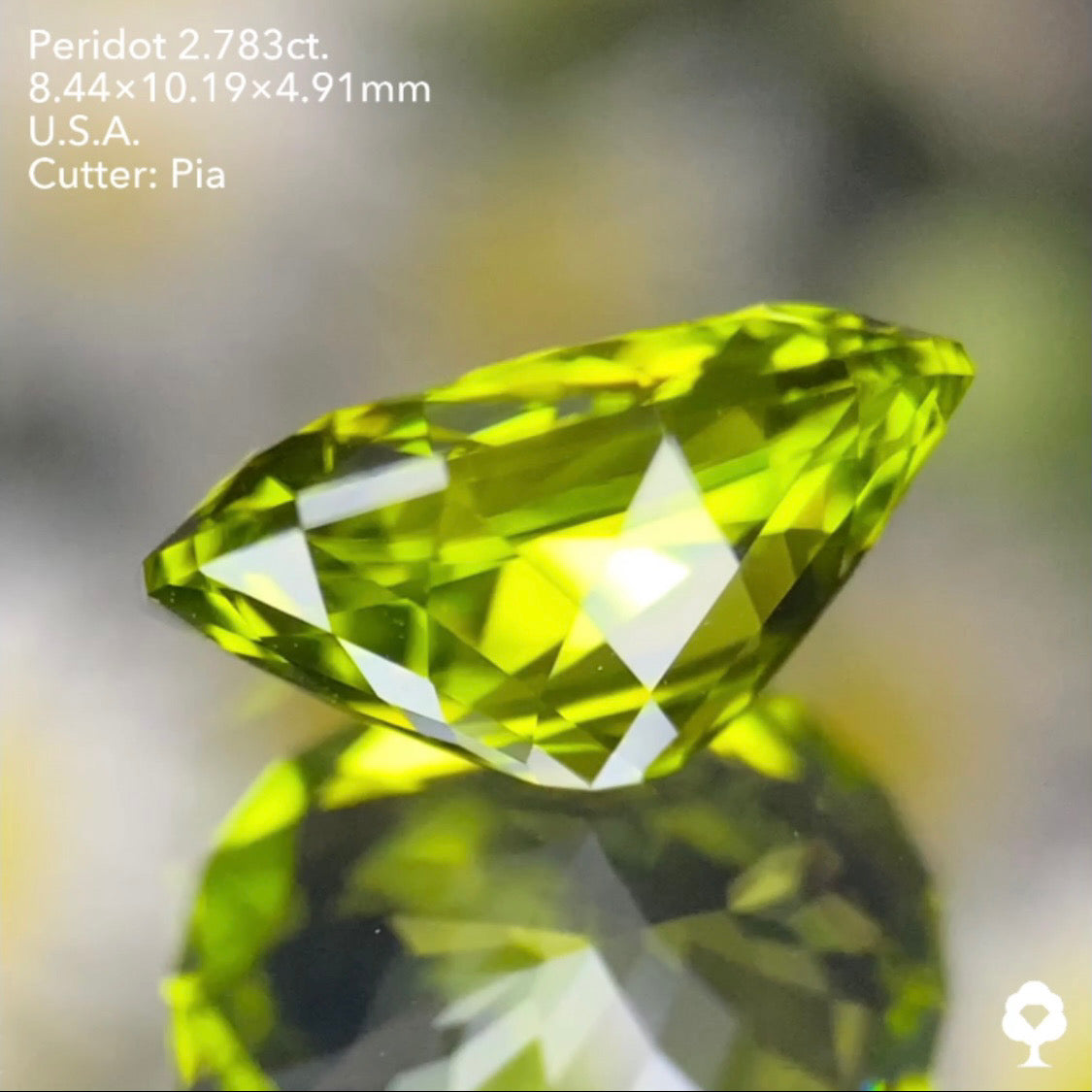 【5万円スタート❗️2023カウントダウン逆オークション】美色高品質のコレぞピアッちゃんの王道ファンシーオーバル★ペリドット2.783ct. アメリカ産 ピアッちゃん作品