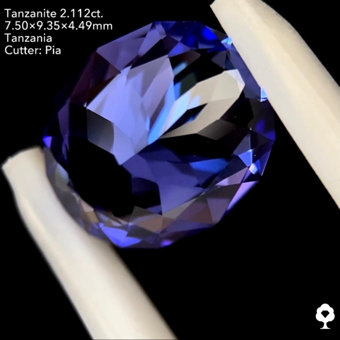 タンザナイト2.112ct. ファンシーオーバル ピアッちゃん作品