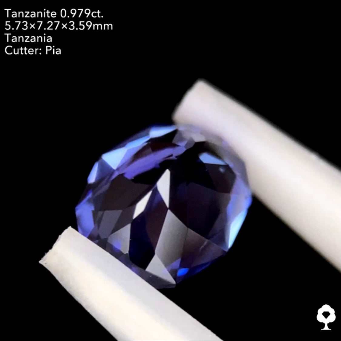 タンザナイト0.979ct. ファンシーオーバル ピアッちゃん作品