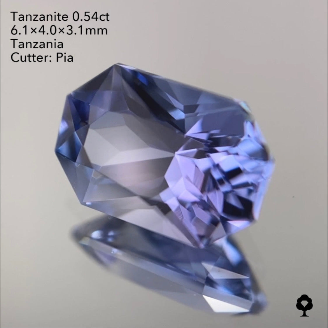 【SOLD OUT】タンザナイト0.54ct ピアッちゃん作品 3/31ライブチャットオークション