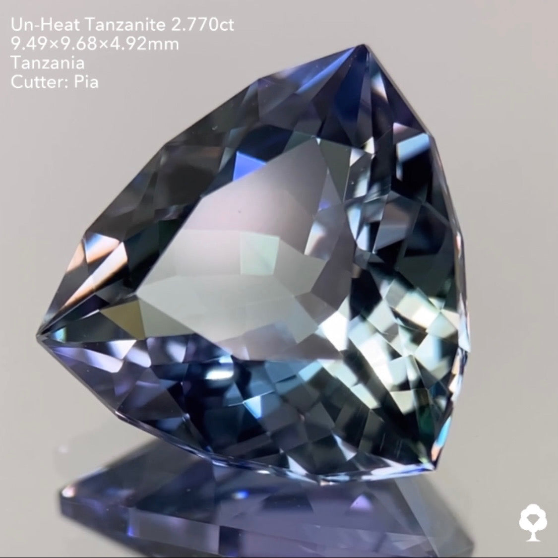 SOLD OUT【GTJウェブサイト個展プライス】非加熱の多色感がファンシートリリアントによって激カッコよく仕上がる★非加熱タンザナイト2.770ct ピアッちゃん作品