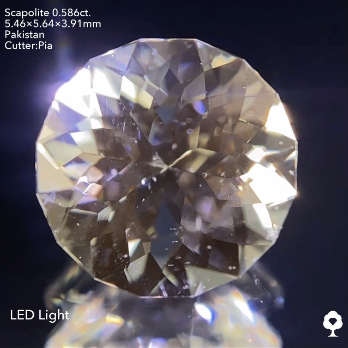 ギラギララウンドが蛍光して美しいたんぽぽになる★スキャポライト0.586ct ピアッちゃん作品
