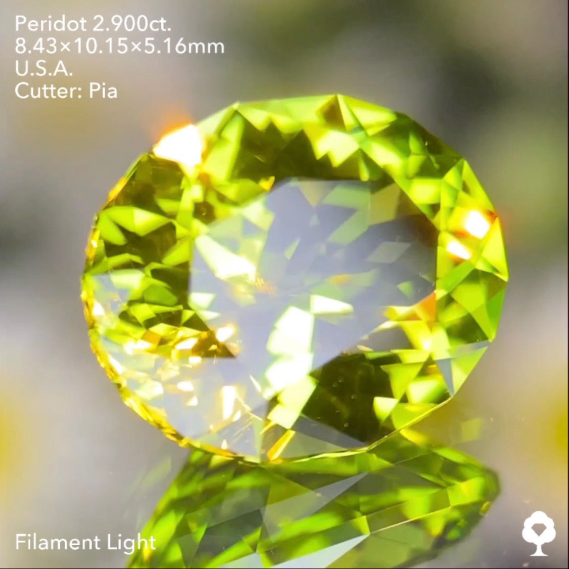 さりげなく浮かぶリリーパッドが可愛い青みある美グリーンの美結晶★ペリドット2.900ct. アメリカ産 ピアッちゃん作品