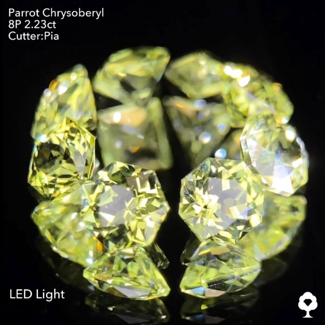 【9/1(木)終了‼️1ヶ月オークション】パロットクリソベリル2.23ct. ピアッちゃん作品