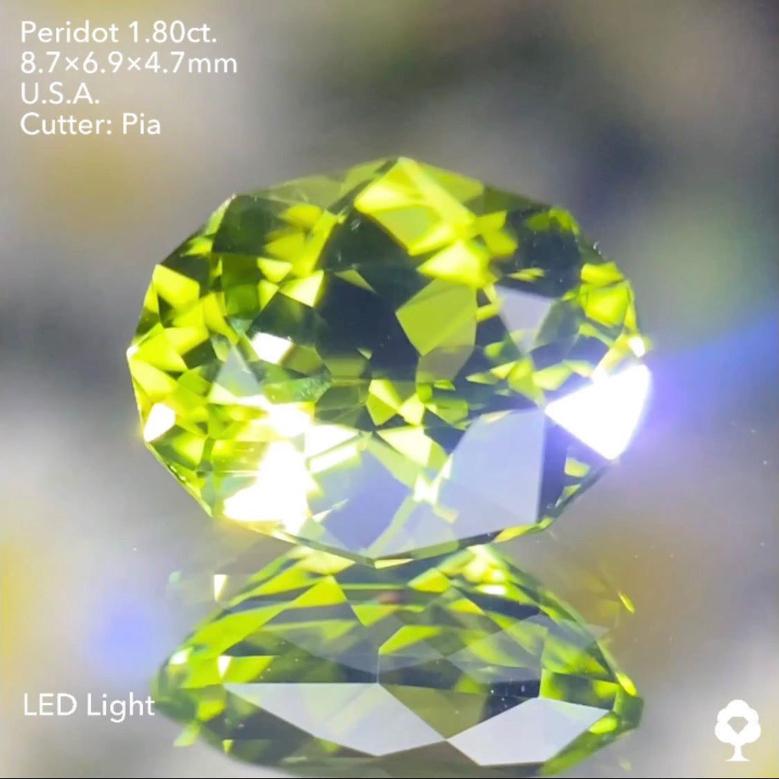 【お客さま専用・誕生石プレゼント】ペリドット1.80ct ピアッちゃん作品