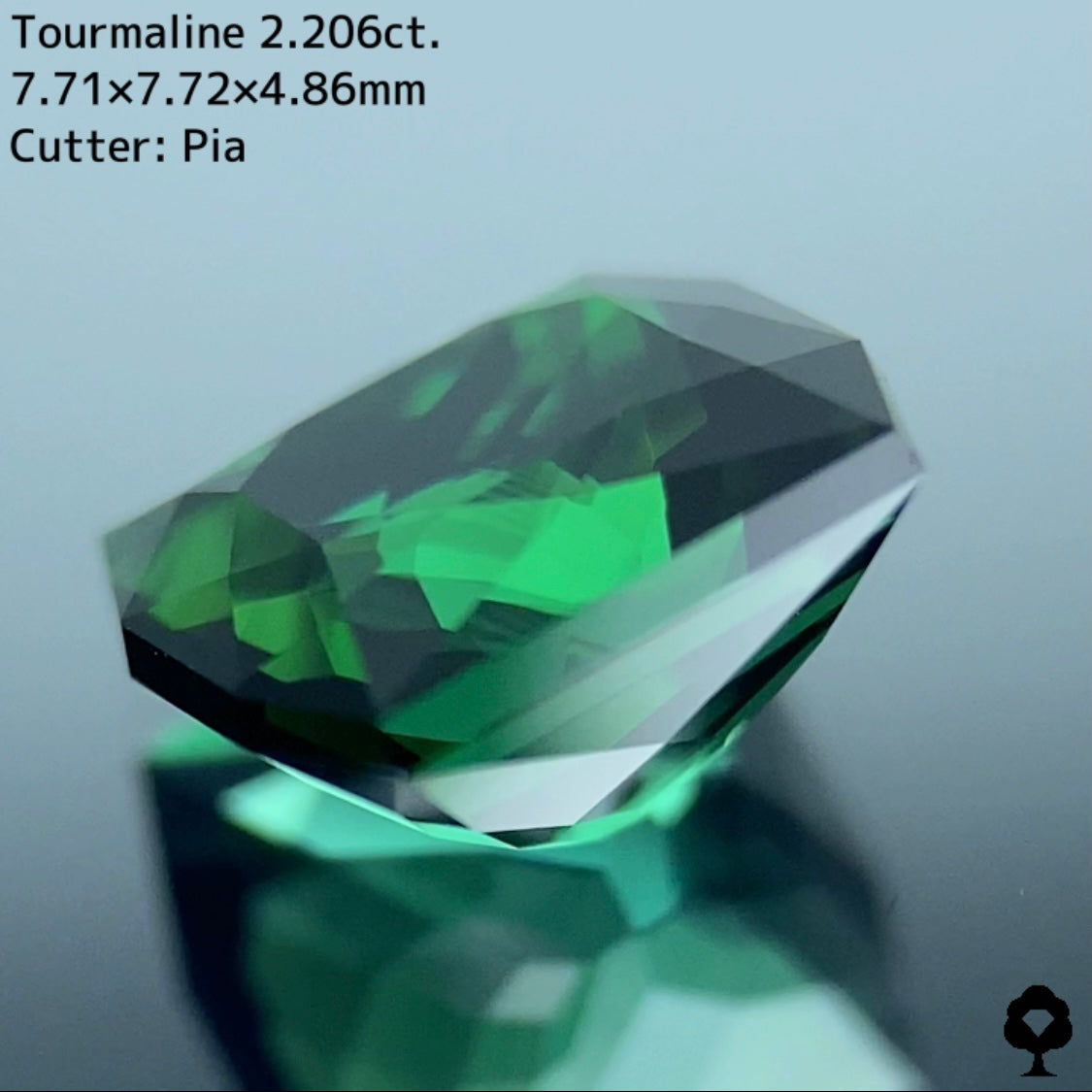 貫禄あるユニークなカタチのオクタゴンに仕上げられた正統派グリーン★トルマリン 2.206ct