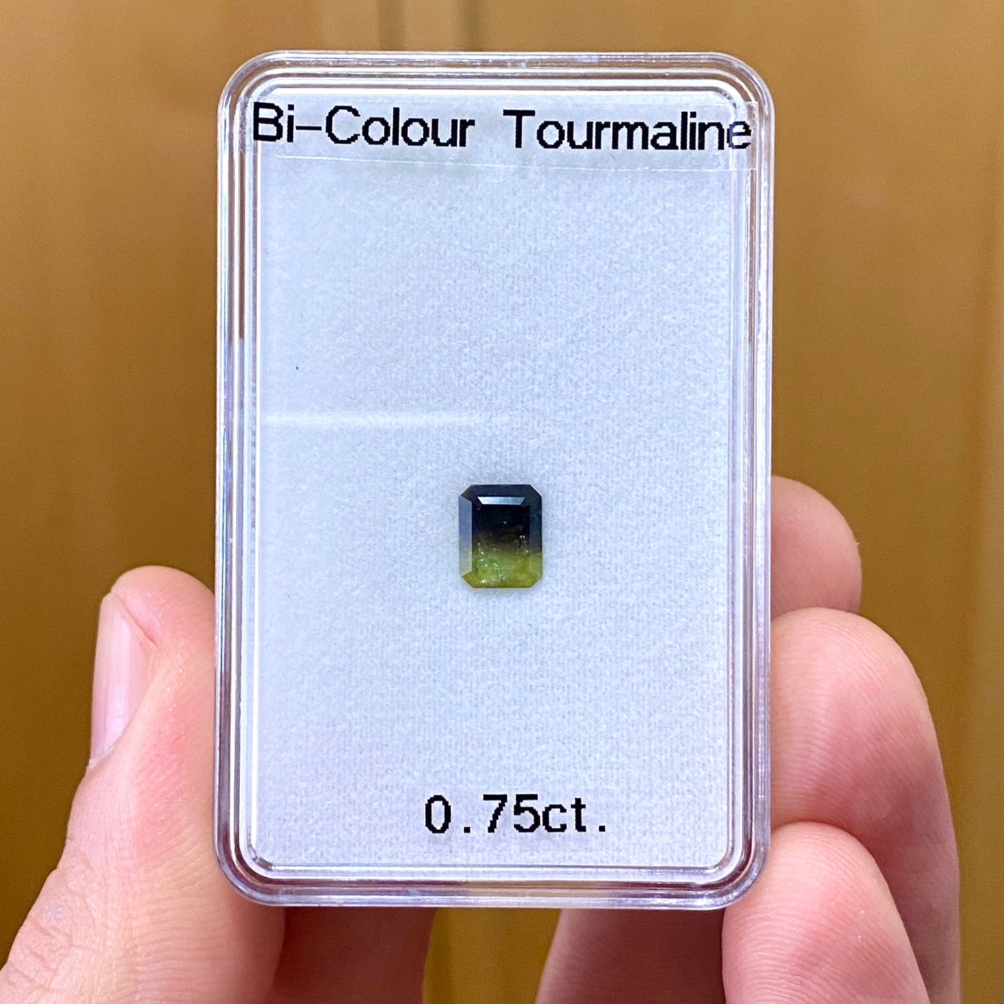 豊かな表情が楽し過ぎる★青と緑と実はブラウン★バイカラートルマリン0.75ct