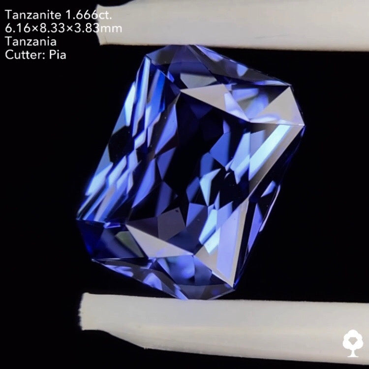タンザナイト1.666ct. オクタゴン ピアッちゃん作品