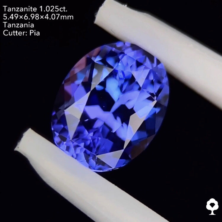 8/13(土)21:30終了‼️2ステップで構成されたお手本のような極美色オーバル★タンザナイト1.025ct. オーバル ピアッちゃん作品
